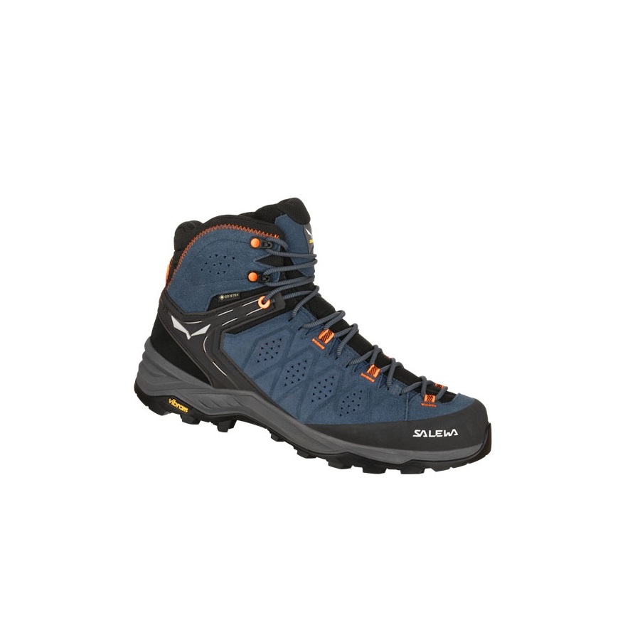 ALP TRAINER 2 MID GTX 